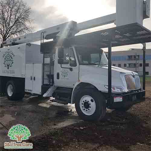 S & J Tree Care