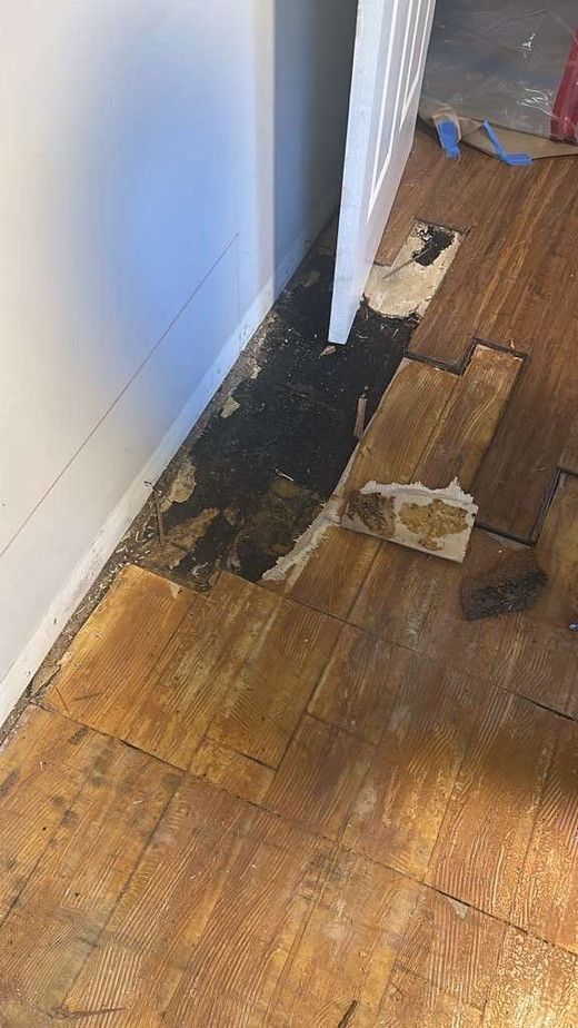 water-damaged-wood-floor-hidden-moisture.jpg