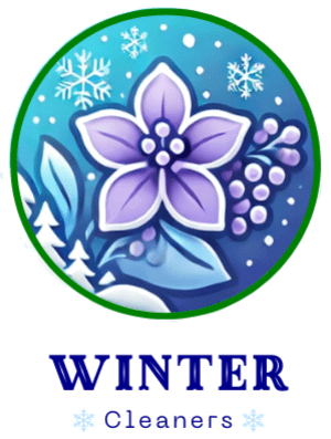 Winter Cleaners