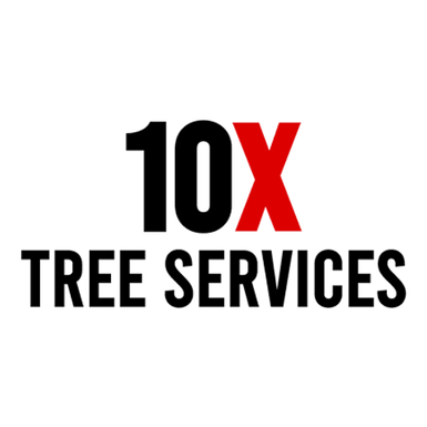 10X Tree Service