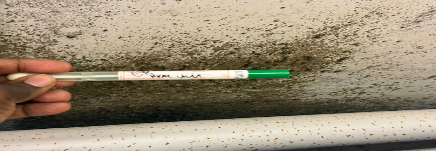 Mold Testing Houston