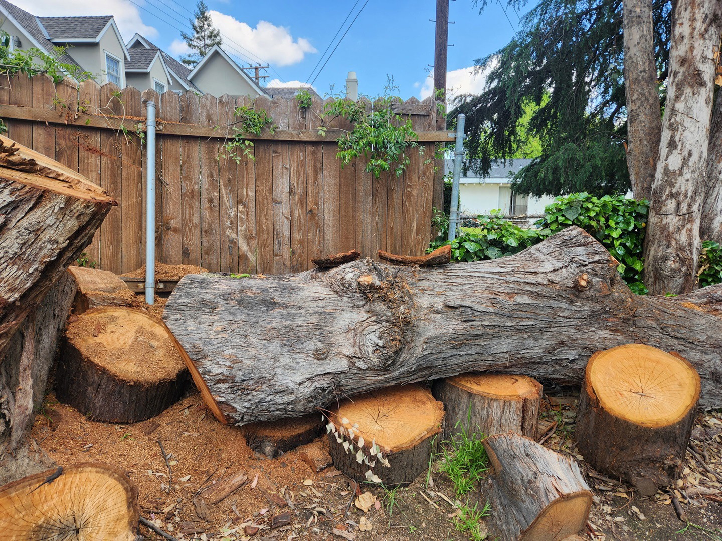 Ventura Tree Services