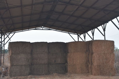 Alabama Pole Barn Builders