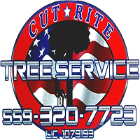 Cut Rite Tree Service Fresno