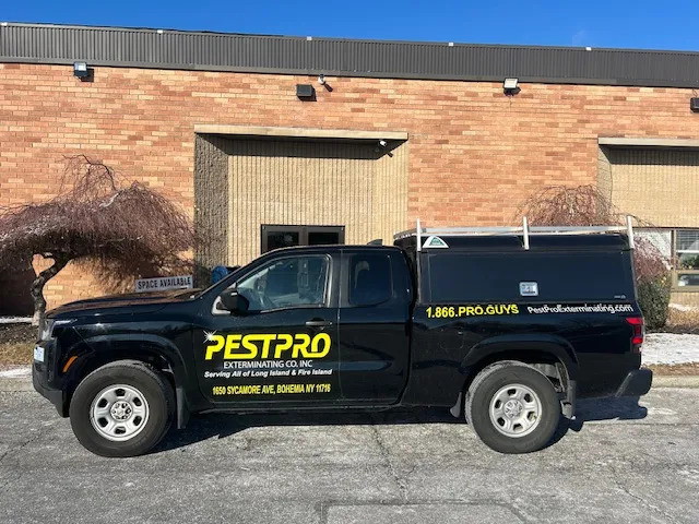 Pest Pro Exterminating