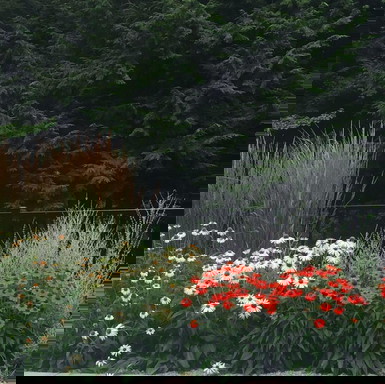 Ken Fengler Landscaping