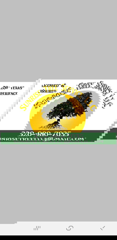 Sunrise Tree Service LLC