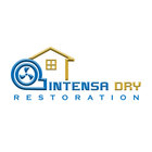 Intensa Dry logo