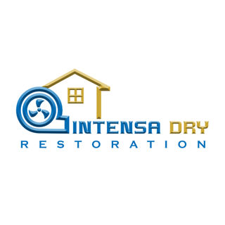 Intensa Dry