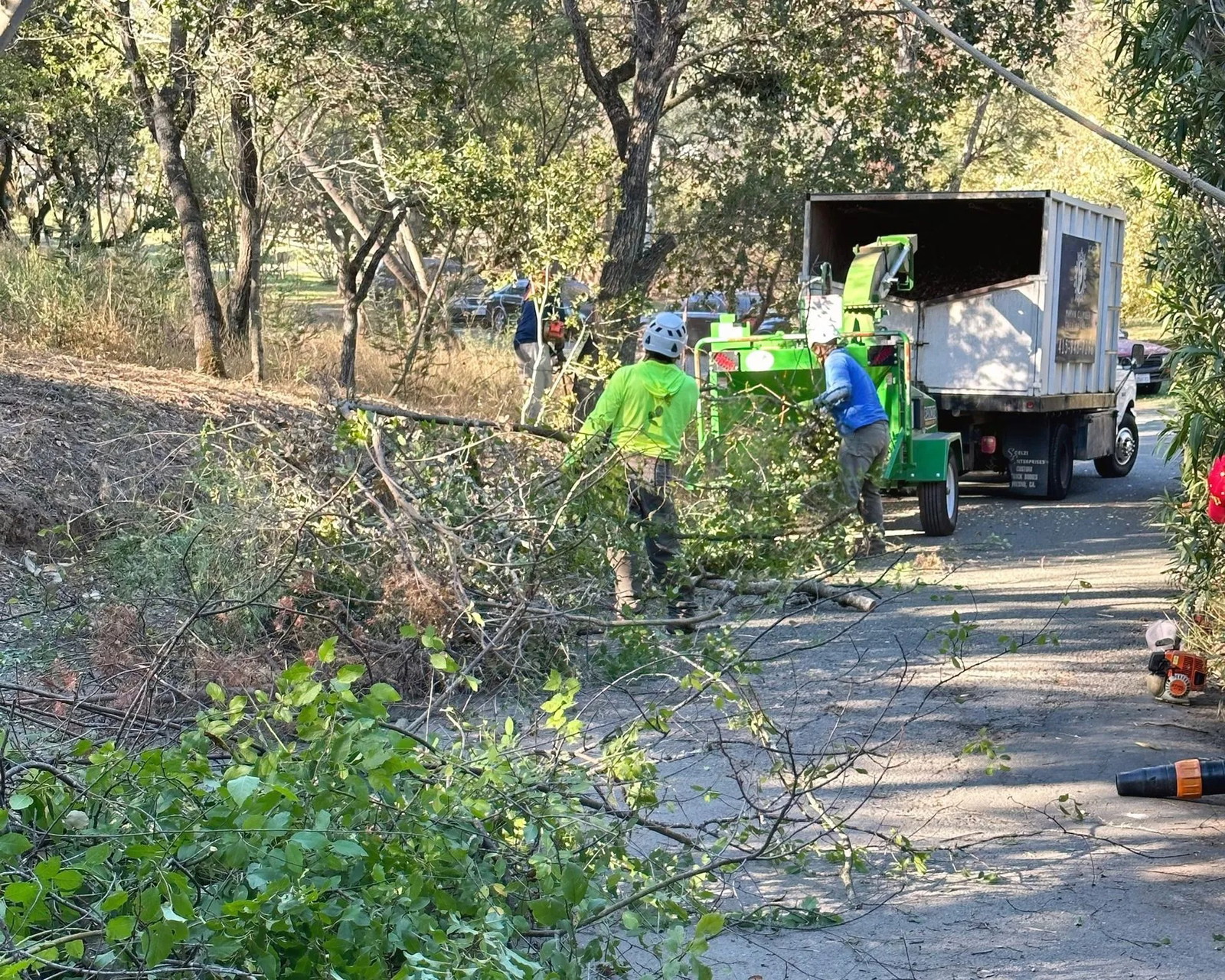 Mayan Climber Tree Service Inc.