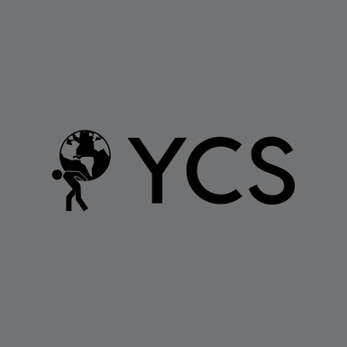 Young Custom Solutions llc