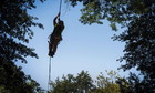 Bluestone Tree logo