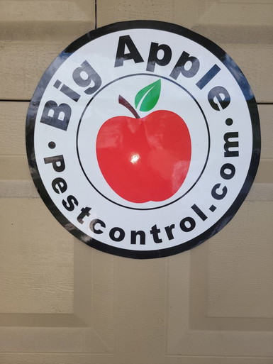 Big Apple Pest Control Inc