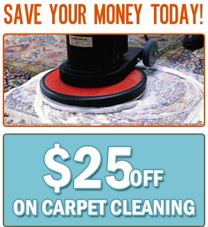 Carpet Cleaning of The Woodlands