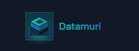 Datamuri logo