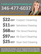 Friendswood TX Carpet Cleaning logo