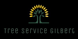 Tree Service Gilbert