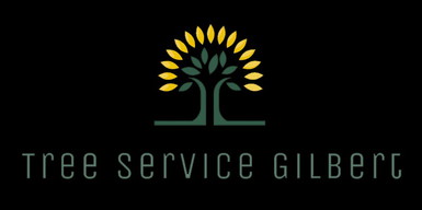Tree Service Gilbert