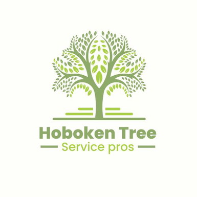 Hoboken Tree Service Pros