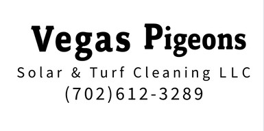 Vegas Pigeons Solar & Turf Cleaning LLC
