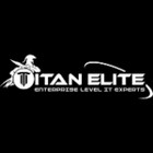 TITAN ELITE IT SERVICES logo
