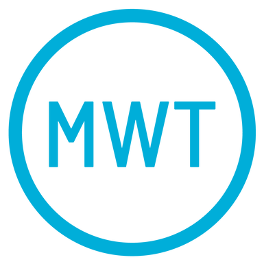 Meridian Window Tint