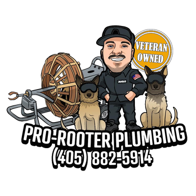 Pro-Rooter Plumbing