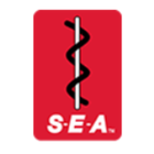 SEA Limited logo