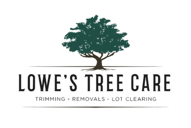 Lowe's Tree Care Service