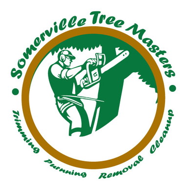Somerville Tree Masters