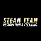 Steam Team logo