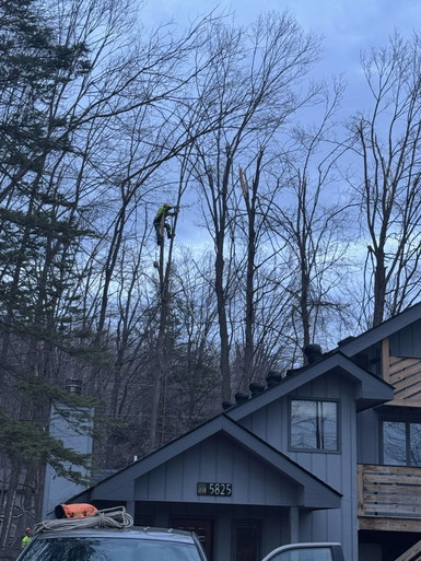 Timber Services