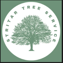 Stritar Tree Service