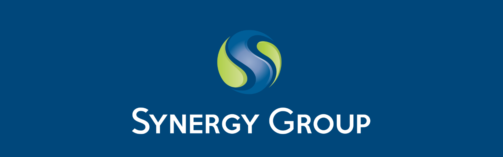 Synergy Group - Rebuilding Altadena and Palisades
