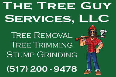 The Tree Guy Services 