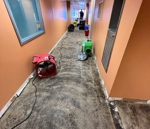 Fishers Restoration Experts