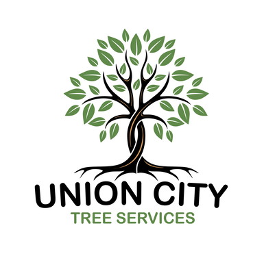 Union City Tree Experts