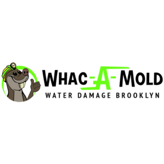 Whac A Mold - Water Damage Brooklyn