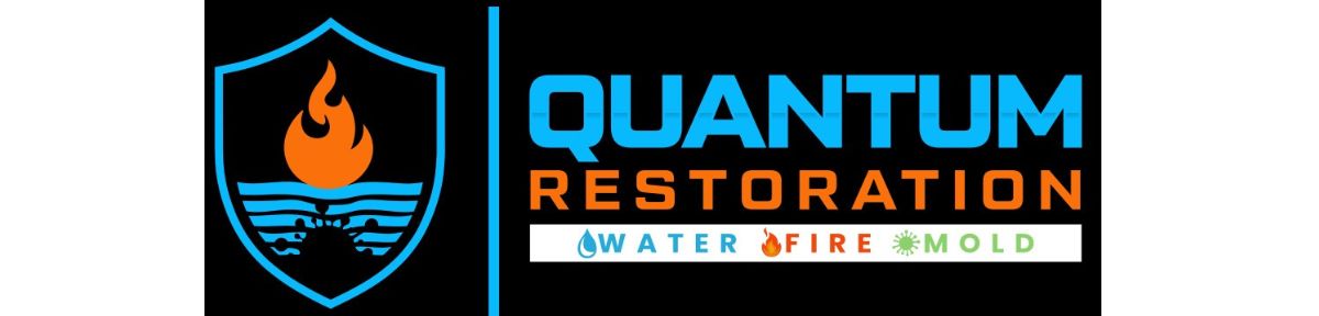 Quantum Restoration