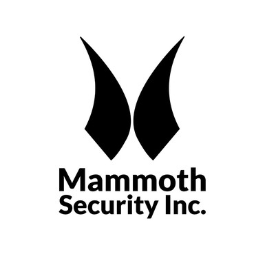 Mammoth Security Inc. New Haven