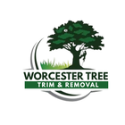 Worcester Tree Trim and Removal logo