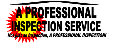 A Professional Inspection Service