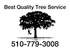 Best Quality Tree Service logo