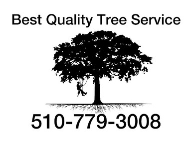 Best Quality Tree Service