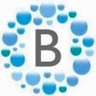BTown Clean LLC logo