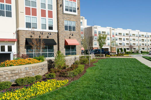 MC Landscaping
