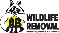AB Wildlife Removal