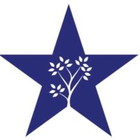 Lone Star Home and Outdoors logo