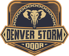 Denver Storm Doors logo