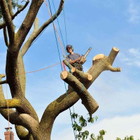 Wigan Tree Services logo